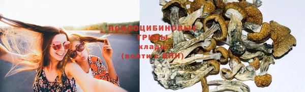 mdpv Абинск