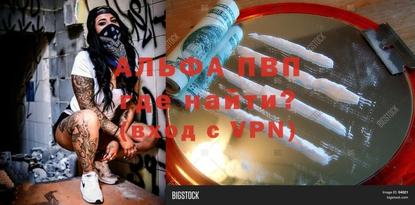 спиды Абаза